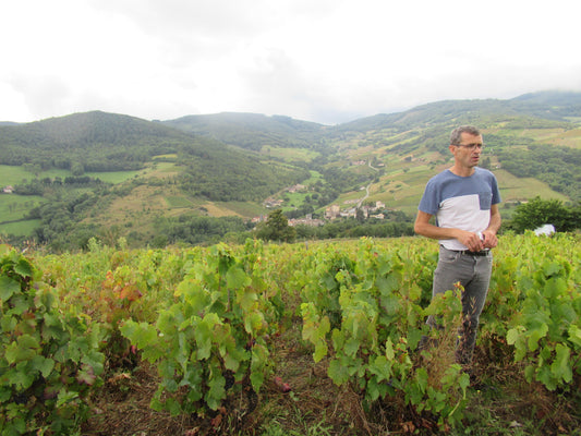 September 2021 France Trip Part Three - Beaujolais! Robin Goutallier, Romaine Des Grottes, Victor Blondin.