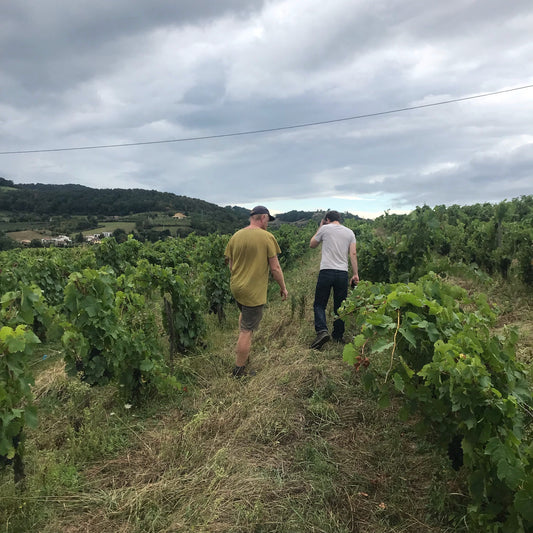 September 2021 France Trip Part 2. Beaujolais-Sud! Nicolas Pavie, Raphaël Beysang and Emélié Hurtubise
