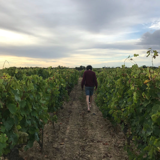 France Trip 2021 - Loire, ANJOU CONNECTION: Mai & Kenji Hodgson, Simon Batardiere, Simon Rouillard & Garo'vin