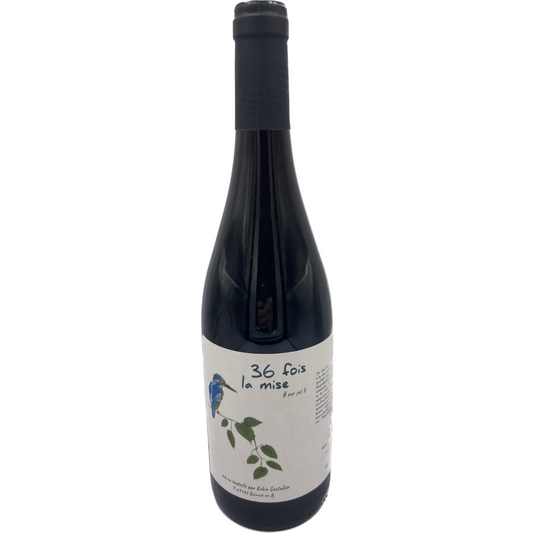 Robin Goutallier, 36 Fois Le Mise 2022