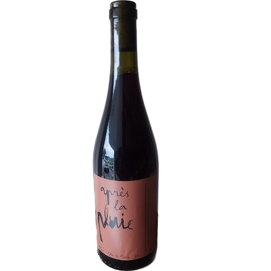 Simon Rouillard, Apres La Pluie 2022