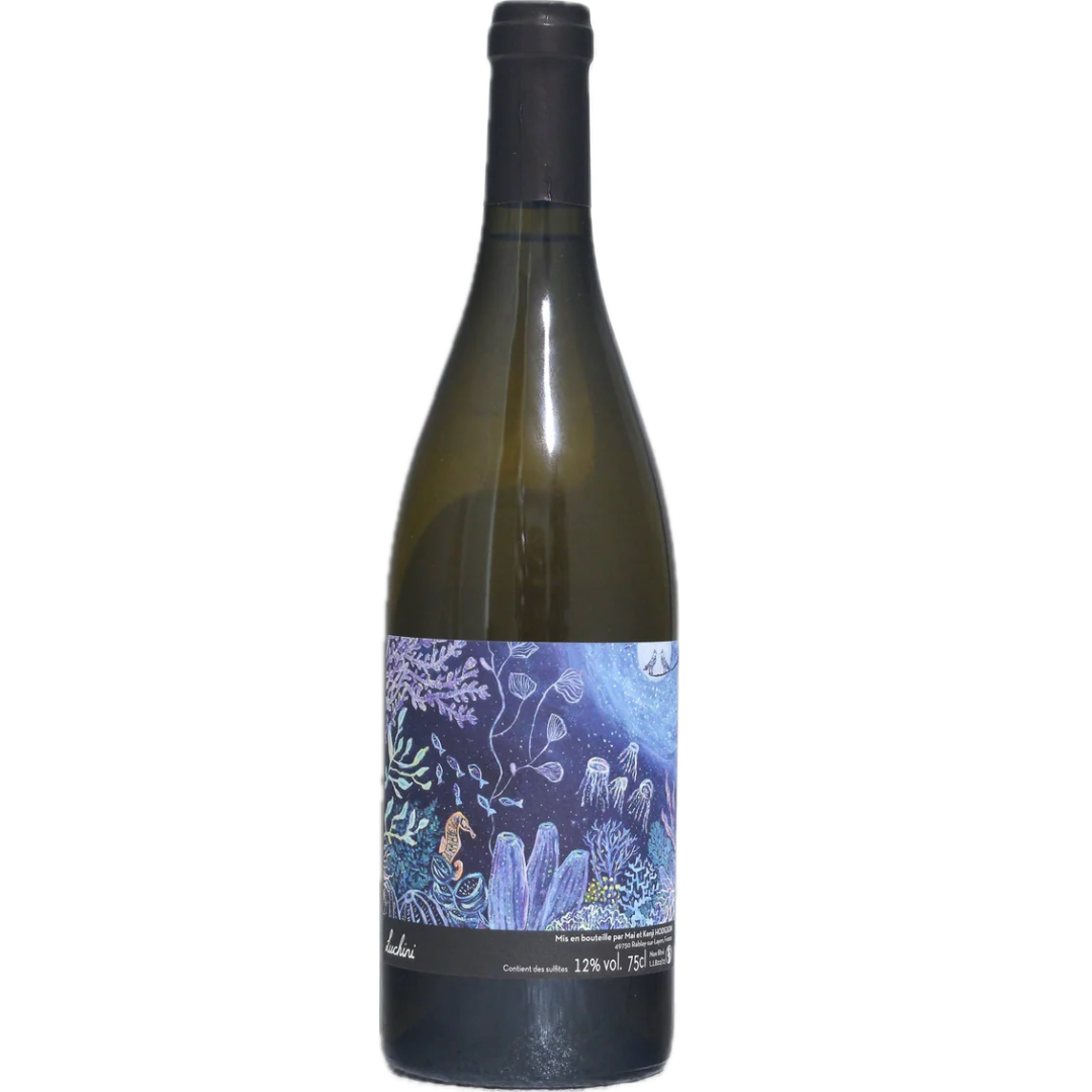 Vins Hodgson, P'tit Luchini Blanc 22/23