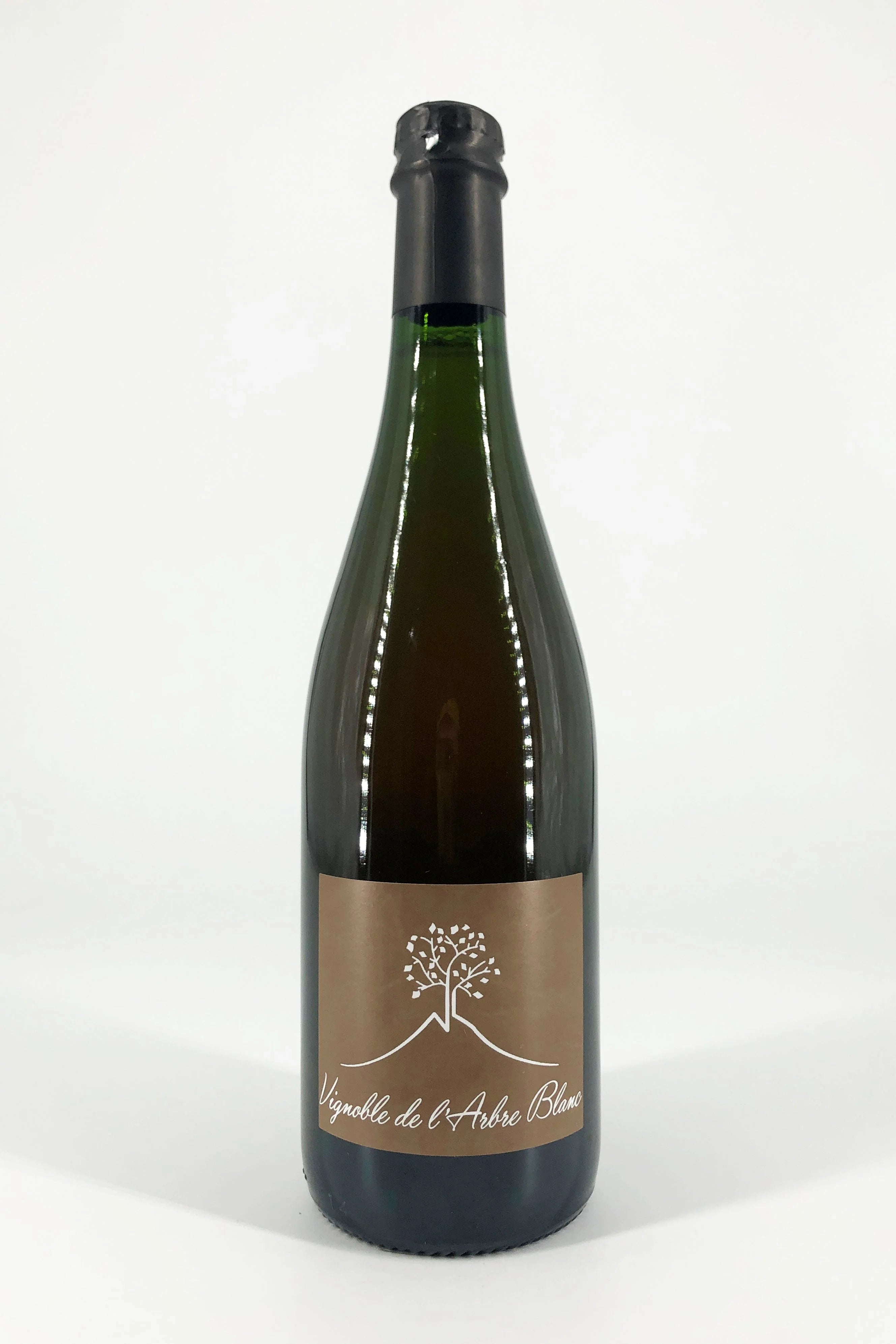 VIGNOBLEDEL_ARBREBLANCLESFESSE VIGNOBLEDEL_ARBREBLANCLESFESSE