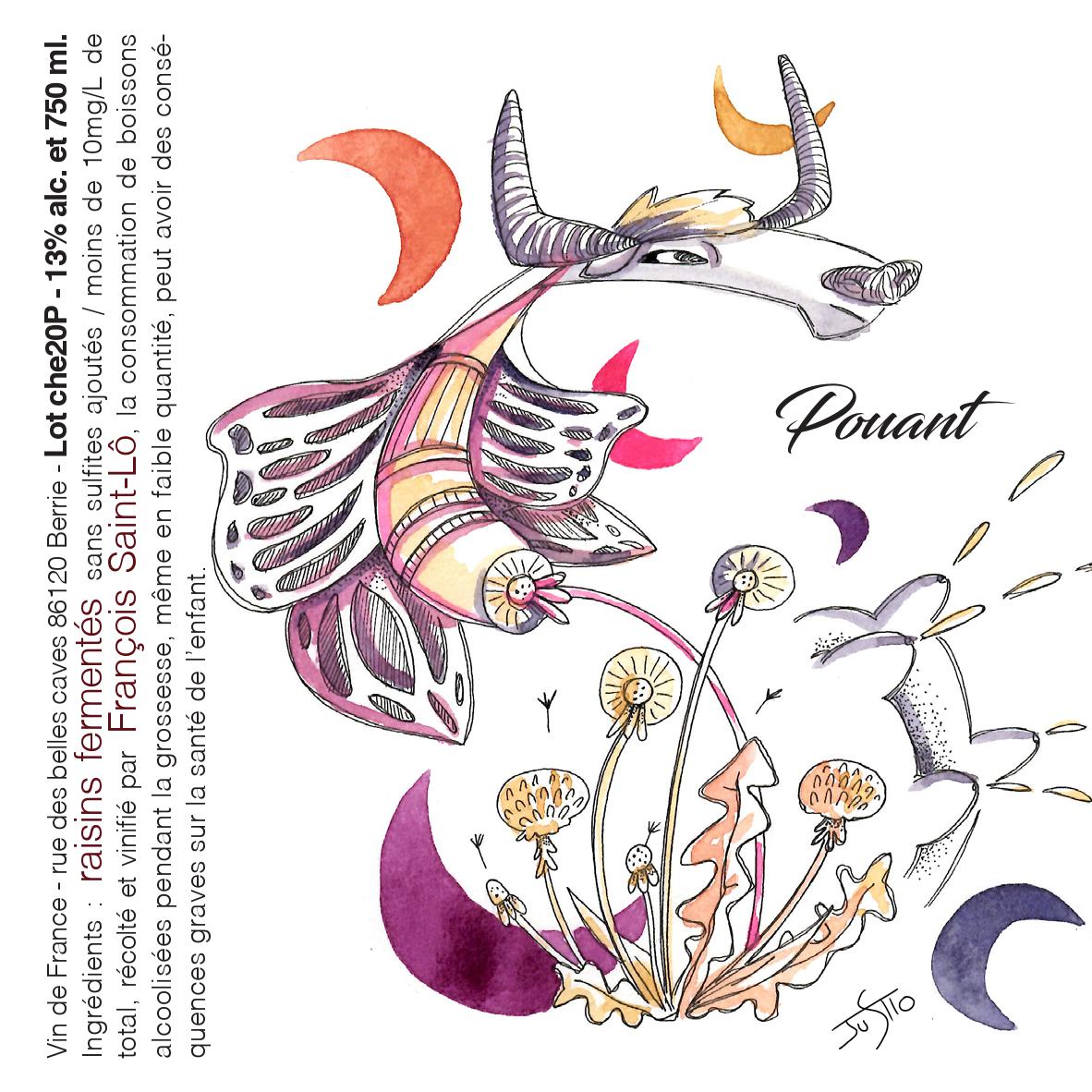François Saint-Lô, Pouant 2020, Chenin Blanc