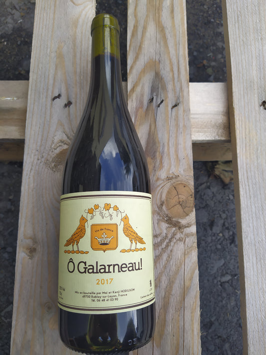 Vins Hodgson O Galarneau! 2017