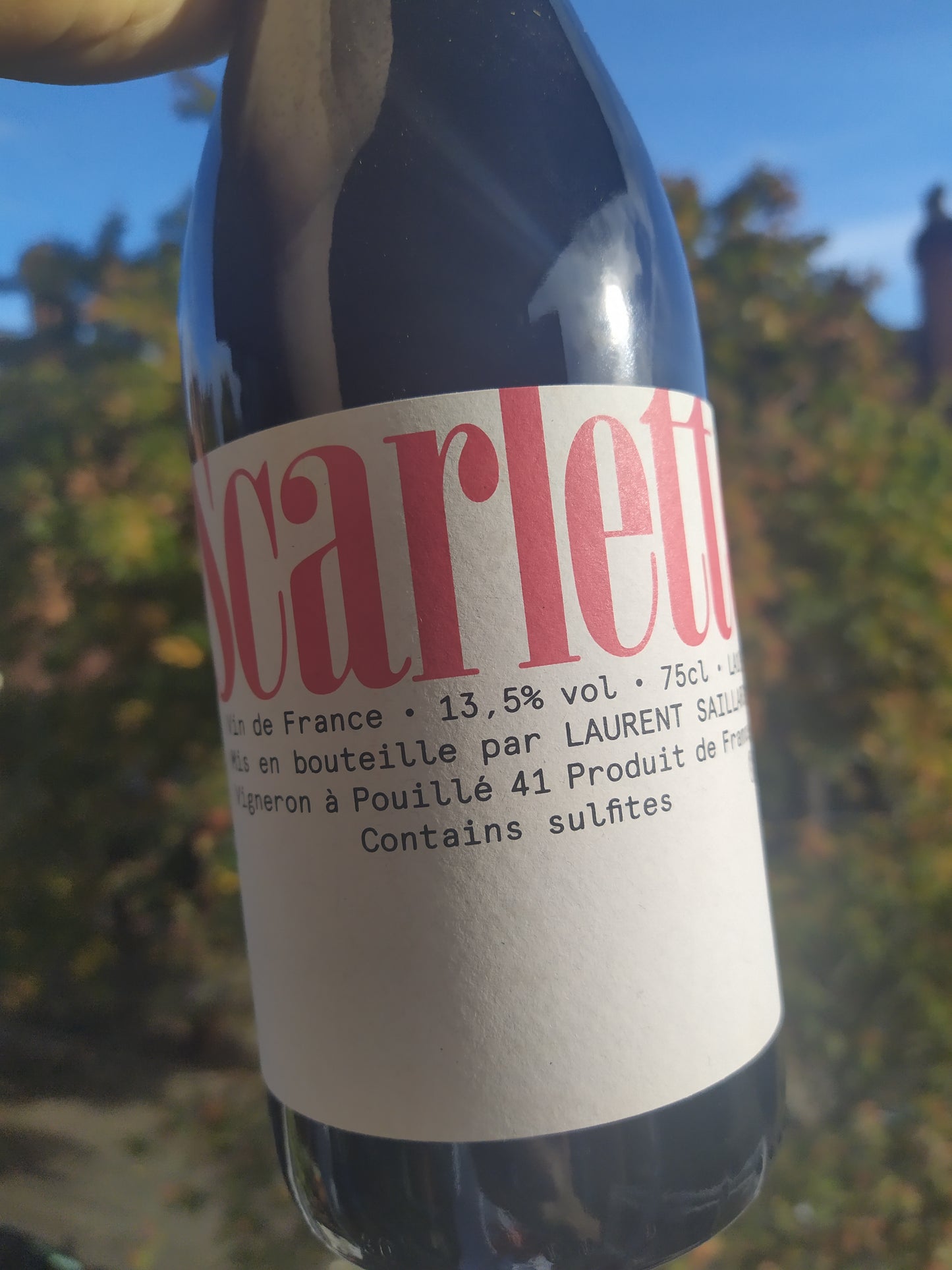 Laurent Saillard Scarlette Pineau d'Aunis 2019