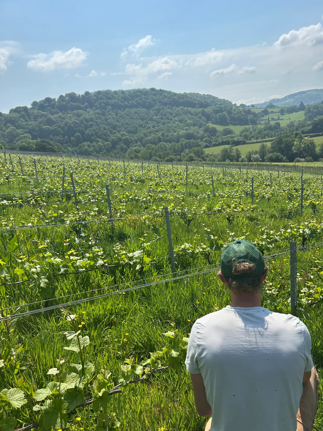 Dave Morris, Cowboys Don't Have Curls