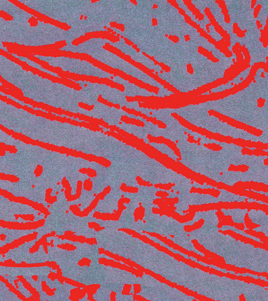 Domaine Goepp, Farouche 2024