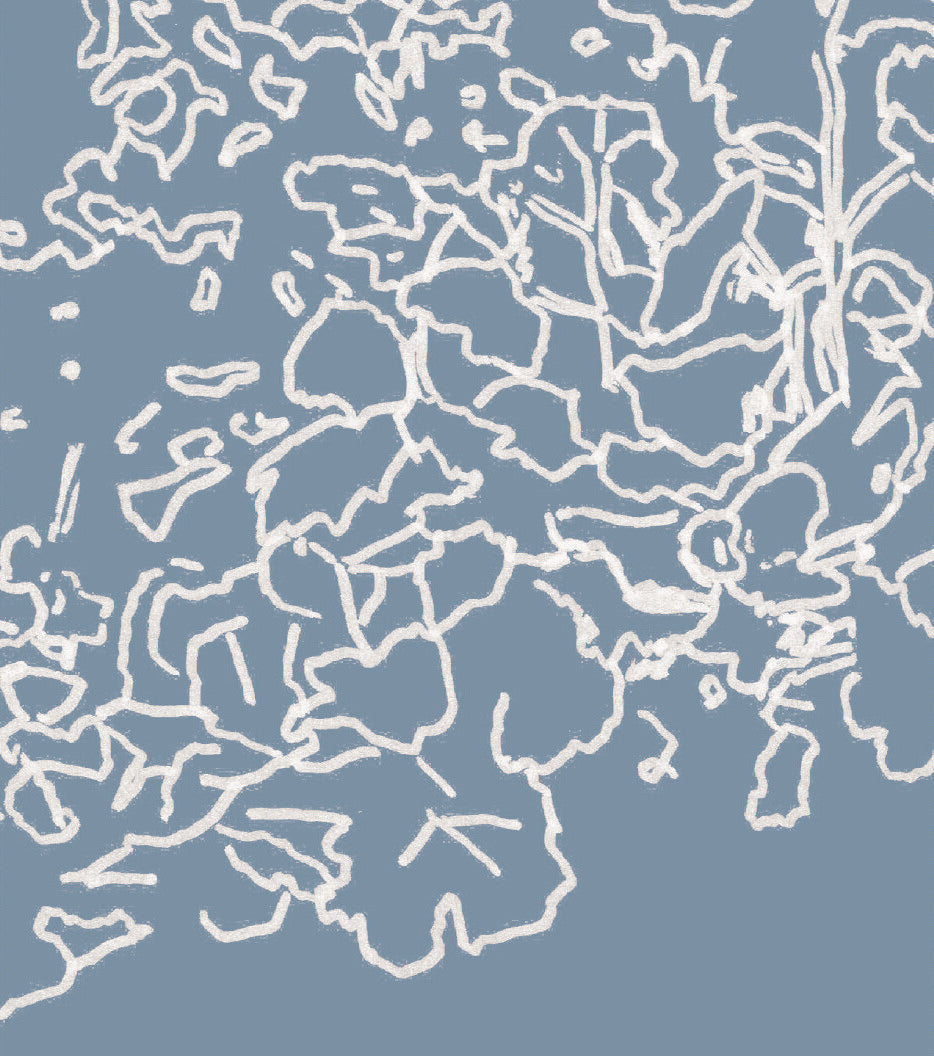 Domaine Goepp, Affenberg Pinot Gris 2024