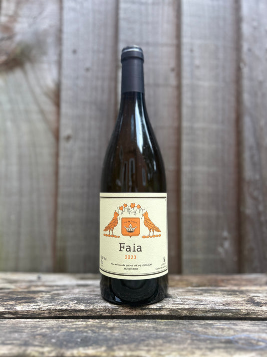 Vins Hodgson, Faia 2023