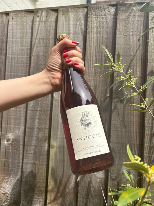 Romain Des Grottes L'Antidote, Gamay, Beaujolais 2025