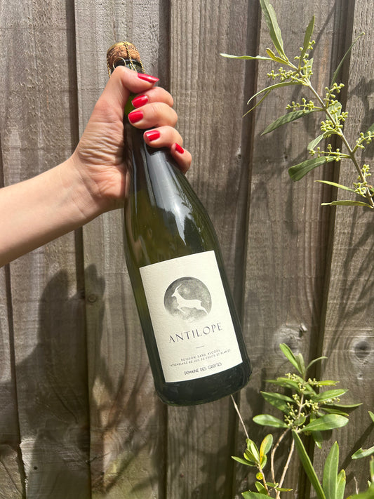 Romain Des Grottes Antilope 2025 Soft Drink, Beaujolais