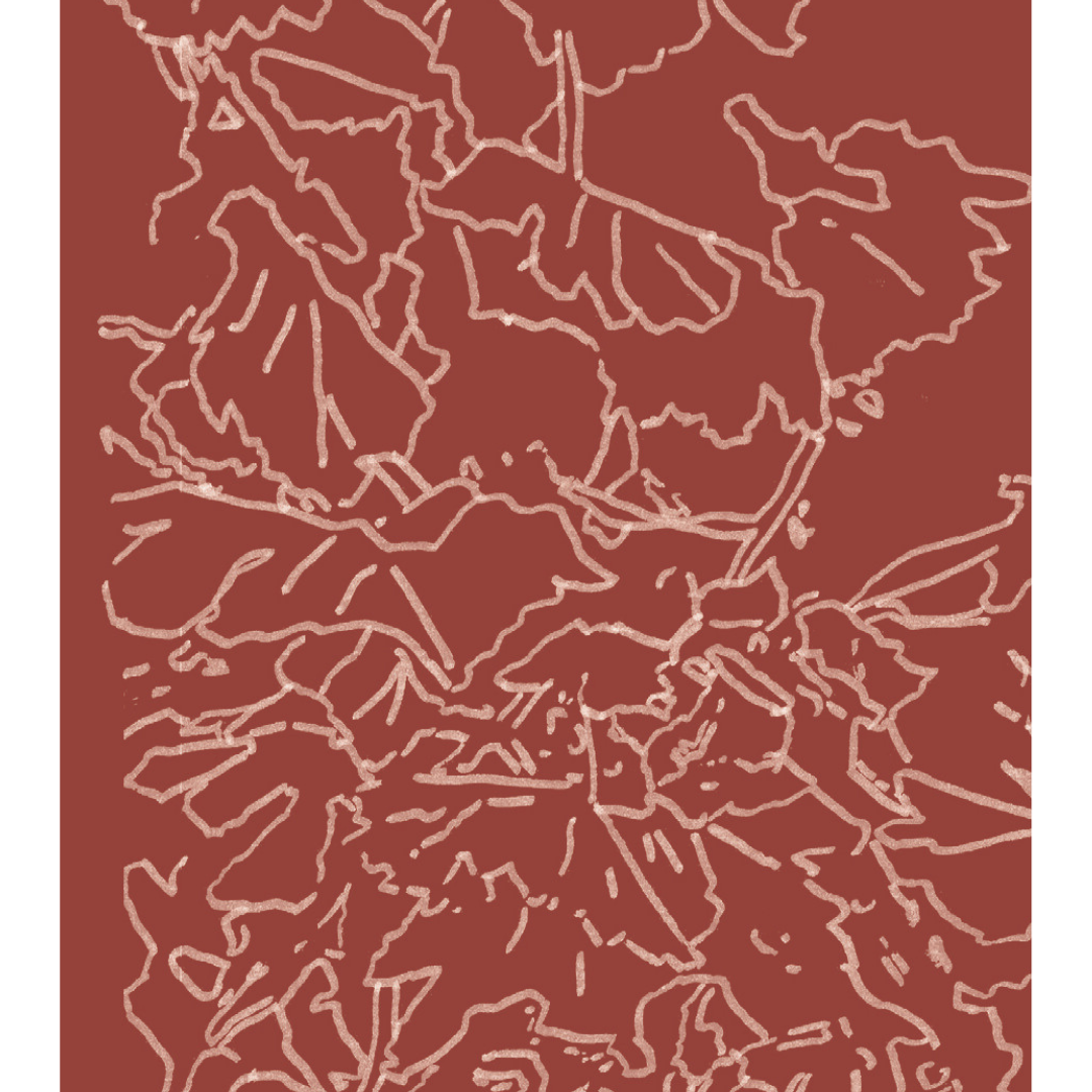 Domaine Goepp, Sylvaner 2024