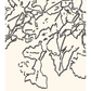 Domaine Goepp, Riesling 2023/2024, Alsace.