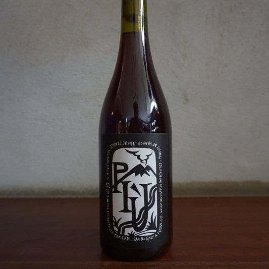 Jérôme Saurigny, Più 2021